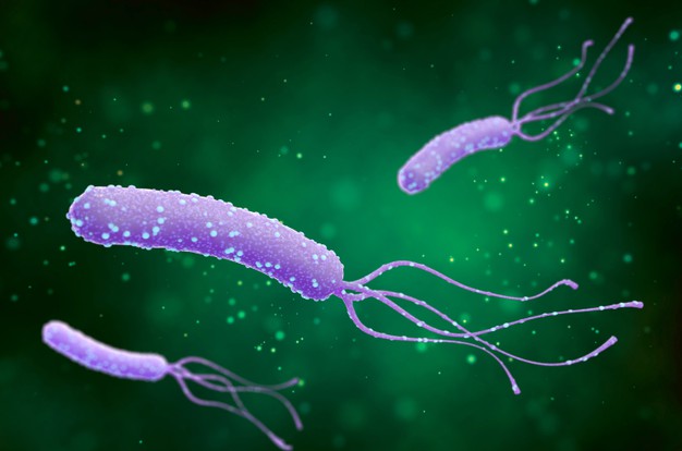 جرثومة-المعدة-البكتيريا-الحلزونية-helicobacter-pylori-bacterium.jpg