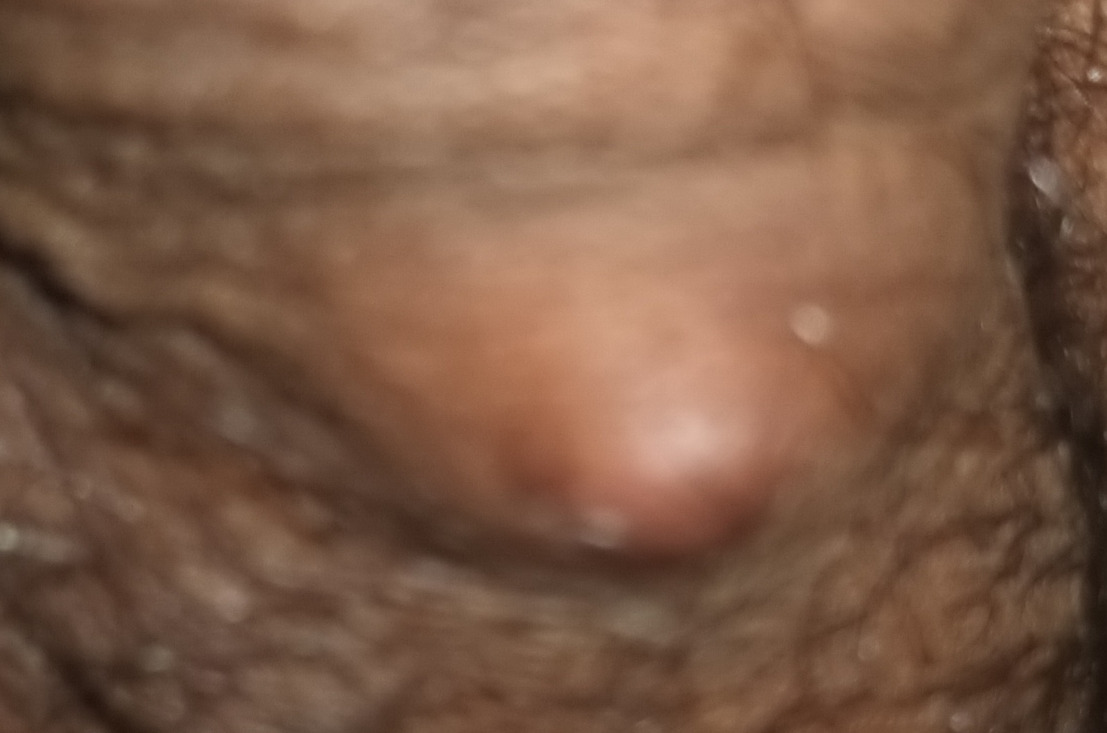 ٢٠٢٣٠٨١٥_٠٢٥١٥٣.jpg