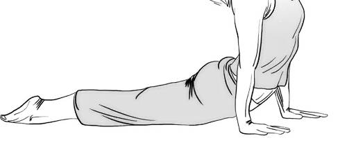 cobra pose.jpg