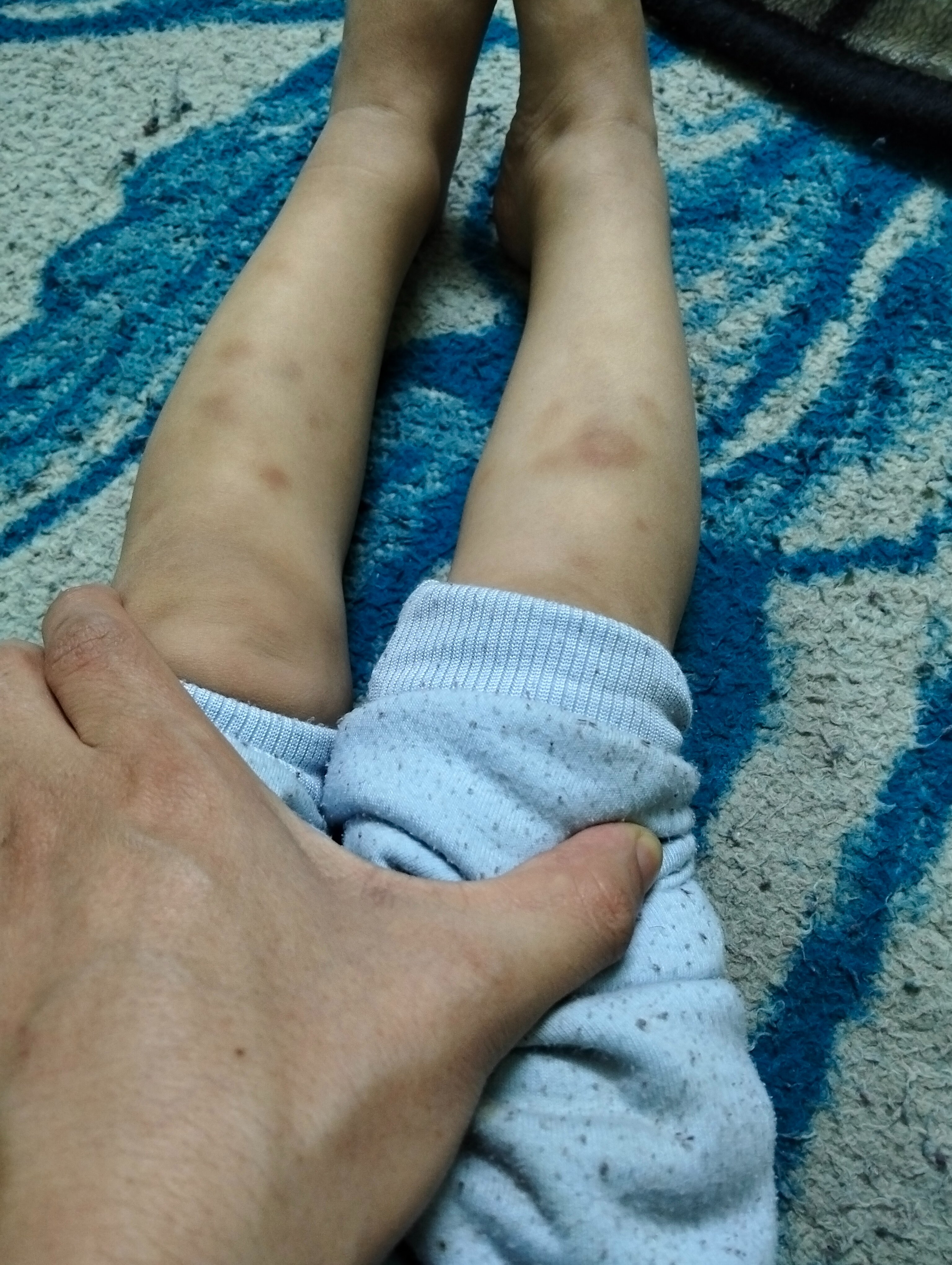 IMG20250412210257.jpg