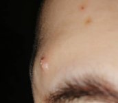 IMG_20200824_174915.jpg