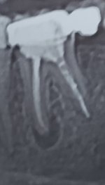 20201102_022808.jpg