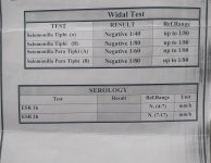 IMG_20201115_113241.jpg