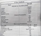 IMG_20201115_113134.jpg