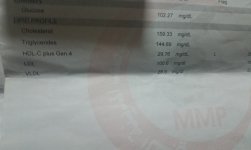 IMG_-cvcyp3.jpg