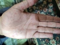IMG_٢٠٢٠١٢٠٨_٢١٥٠٤٧.jpg