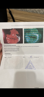 BA69AC65-0A29-428B-A651-8B55370AE55B.png