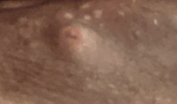 1EF85FC1-E2AC-4DA4-B105-B8837CC2F6AB.jpg