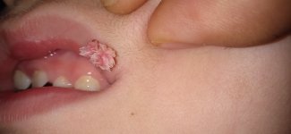 IMG_20220404_112521.jpg