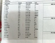 B4954AB8-18CD-4CB5-8C53-5172845FC12E.jpg
