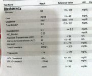 A2BB11DB-594E-4F4A-BA9D-ECC01487E0C0.jpg