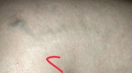 IMG_٢٠٢٢٠٦١٣_٠٣٥١٢٩.jpg