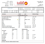 Desktop-screenshot (3).png