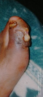 IMG20221209035549.jpg