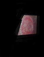 Screenshot_20230708_011005_Gallery.png