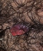 IMG_0571.jpeg