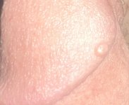 IMG_9417.jpeg