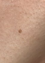 IMG_1812.jpeg