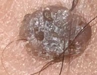 IMG_1970.jpeg