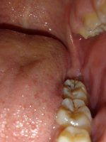 IMG_٢٠٢٤٠٢٠٢_٢٠٣٤٣٣.jpg