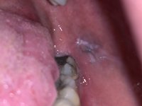IMG_3919.jpeg
