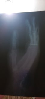 17106356508212649384700246244862.jpg