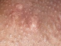 61CF655D-92D3-4798-9A04-13CF2C8921F4.jpeg