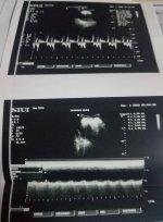 IMG-20201223-WA0005.jpg