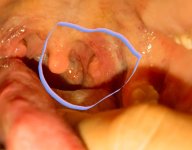 20201229_211034.jpg