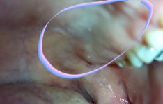 20201229_211102.jpg