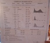 IMG-20210104-WA0005.jpg