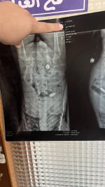 IMG_4056.jpeg