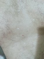 IMG20250421020013.jpg