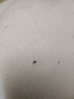 IMG_٢٠٢٥٠٤٢٩_١٤٢١٥٠.jpg