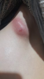 IMG-20250224-WA0011.jpeg