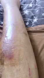 IMG_6211.jpeg