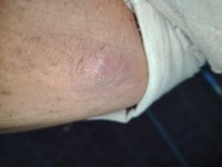 IMG_20250512_194506.jpg