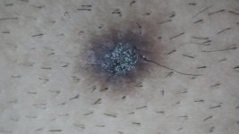 IMG_20250512_210212.jpg