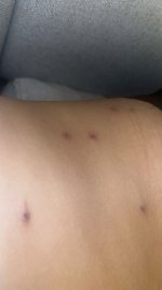 IMG_9463.jpeg