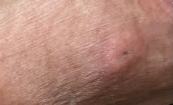 IMG_3441.jpeg