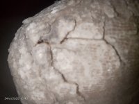 IMG_20250624_154234.jpg