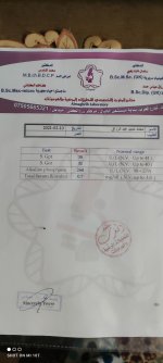 IMG_٢٠٢١٠٢١٠_٢٢٣٤٠٣.jpg