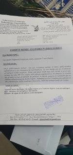 20200908_202518.jpg