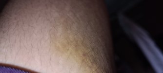 16232102880333236887422893136075.jpg
