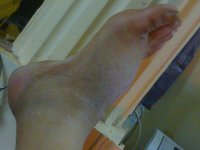 15012005179.jpg