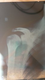 IMG_20210810_092526.jpg