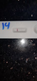 ٢٠٢١١٢١٨_٠٨٣٥٣٤.jpg