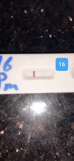 ٢٠٢١١٢٢٠_٢٠٣٣٣٩.jpg
