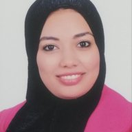 Dr Sara Nasr