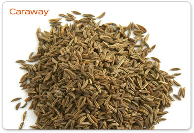 استعمالات وفوائد الكراويه الطبية Caraway